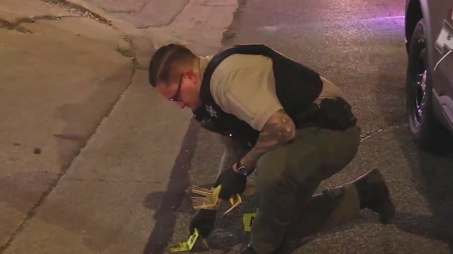 Armed Robbery Suspect Dies After Hickory Hills Police Shootout