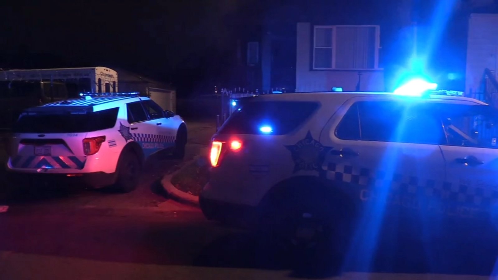 Dog Shot During West Side Home Invasion, Chicago Police Say