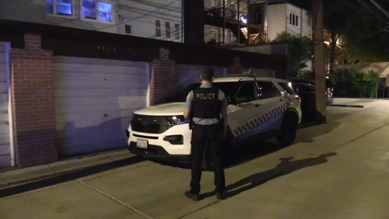 2 Men Sexually Assault Woman in Lakeview Alley, Police Say