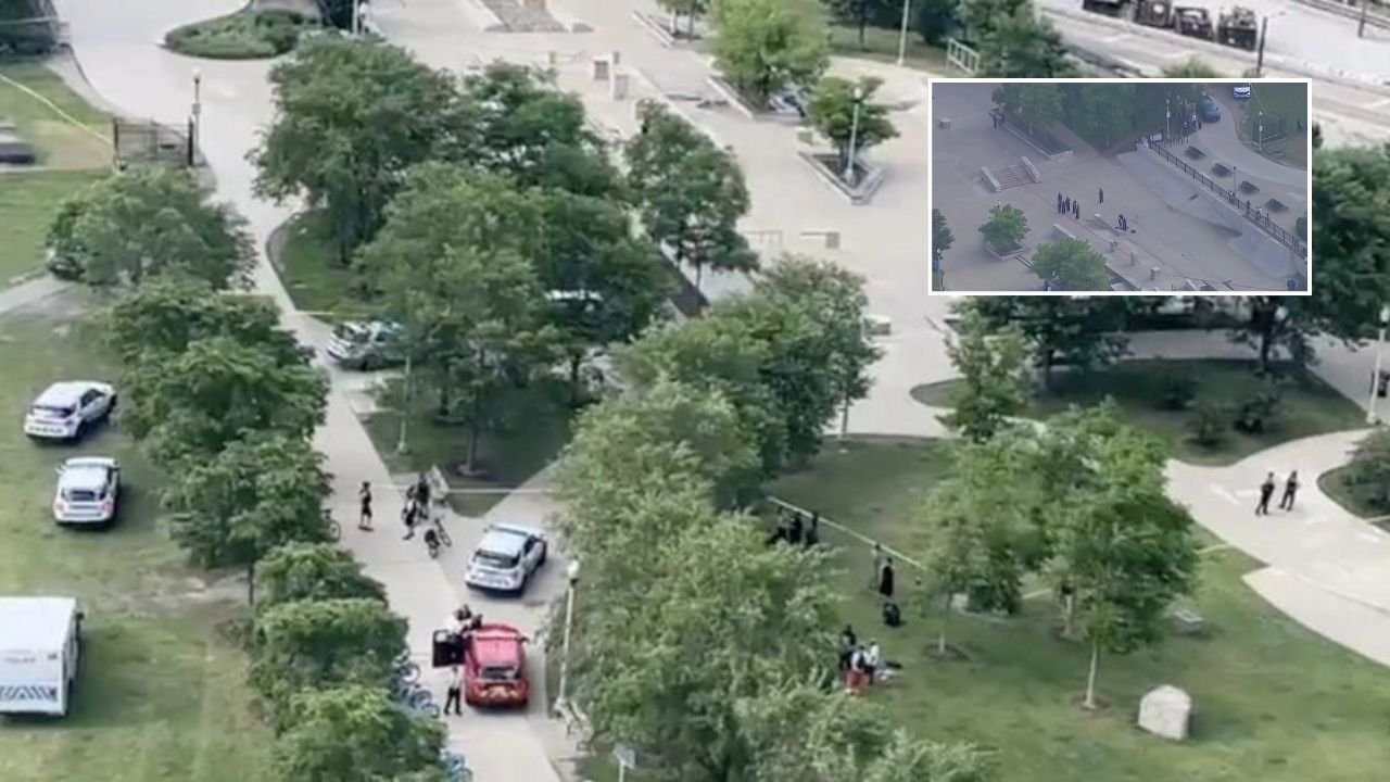 2 Stabbing Victims Fight Back, Disarm Attacker With His Own Knife In Grant Park, Police Say