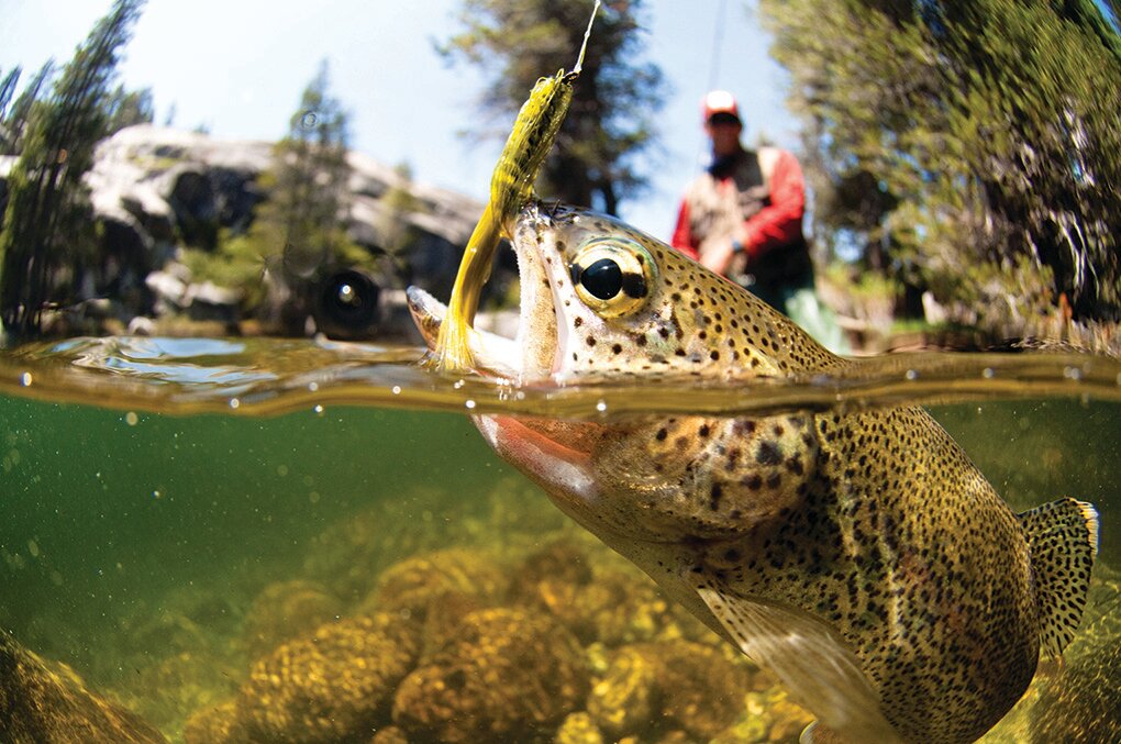 Illinois Free Fishing Days Set for June 13–16
