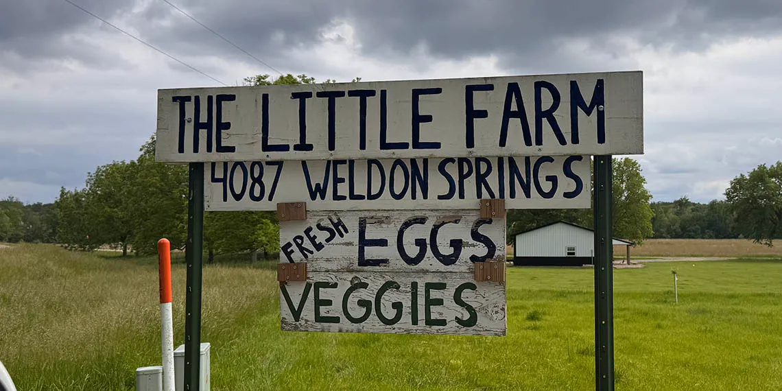 Illinois ‘Chicken Bill’ Could Revolutionize Small Poultry Farming In The State