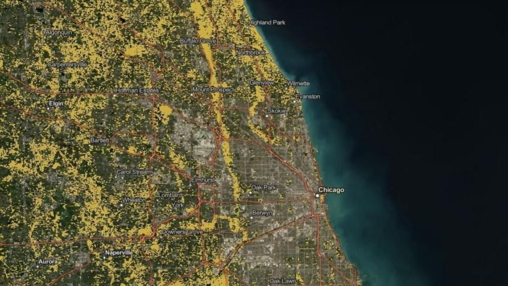 Invasive Plants Threaten 80% of Chicago-Area Forests, Ecologists Warn