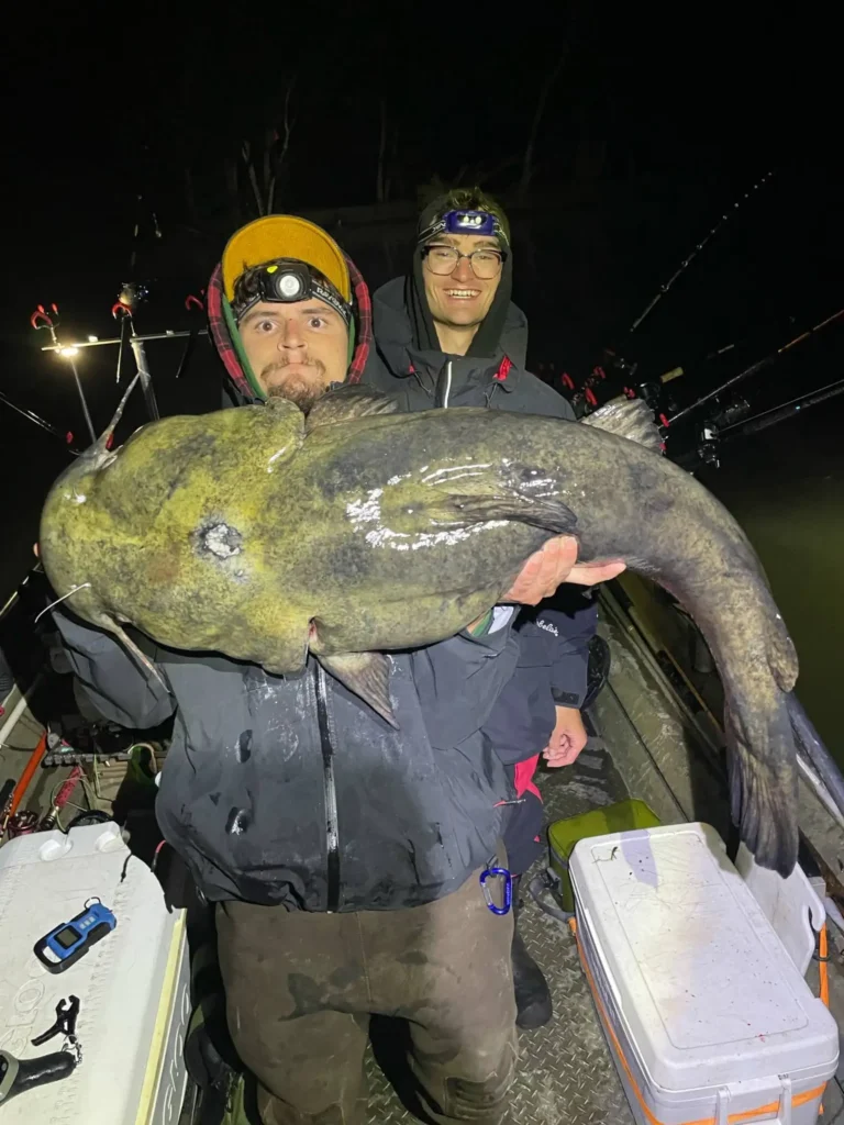 Chicago Outdoors Update: Cottonwood Flurries, Suburban Turkeys, Flathead Catch & Wolf Lake Family Event