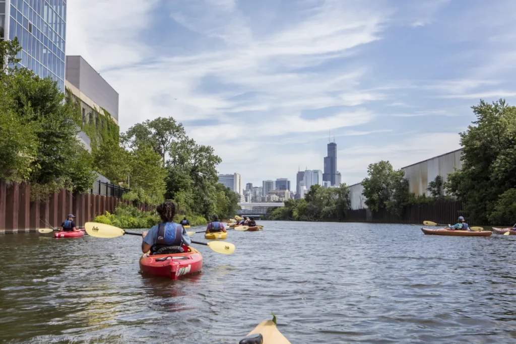 Chicago’s Famous Turtle “Chonk” Is Back In The River — And She’s Bigger Than Ever