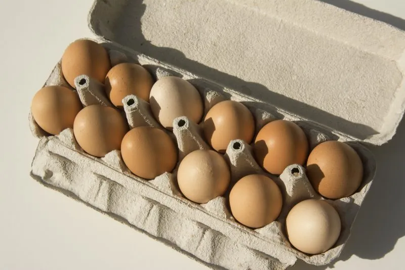 Illinois Eggs Linked To Dangerous Salmonella Outbreak — CDC Issues Warning