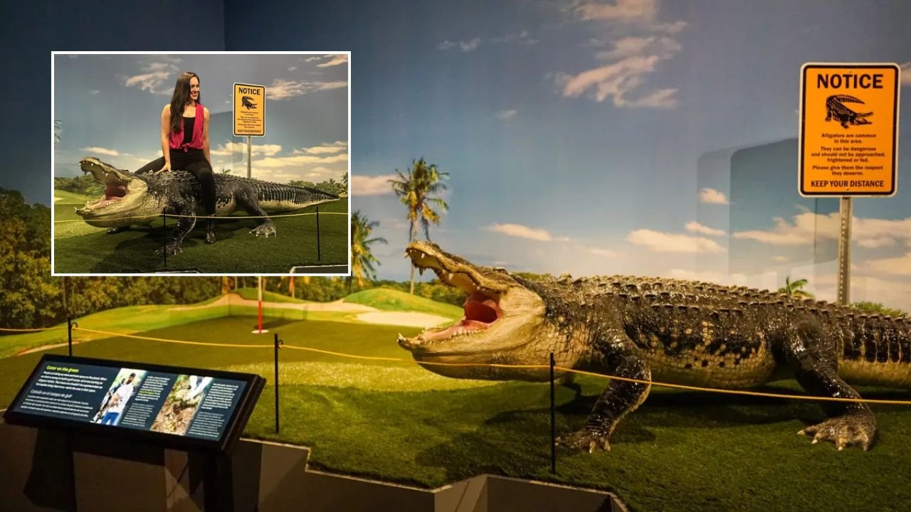 Field Museum’s ‘Reptiles Alive!’ Exhibit Celebrates Chicago’s Cold-Blooded Creatures — Including Chance The Snapper