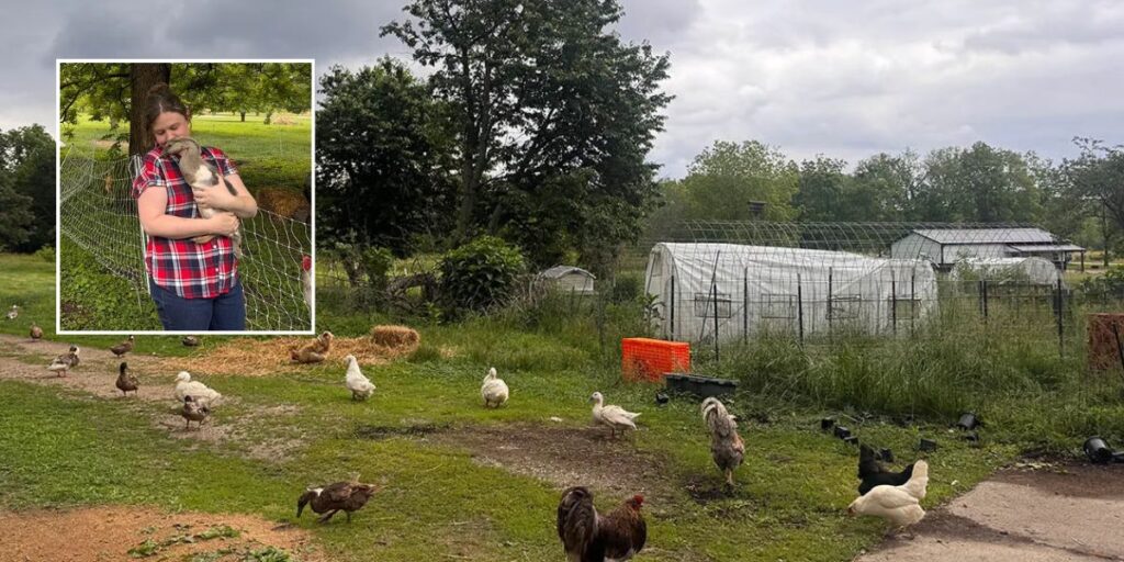 Illinois ‘Chicken Bill’ Could Revolutionize Small Poultry Farming In The State