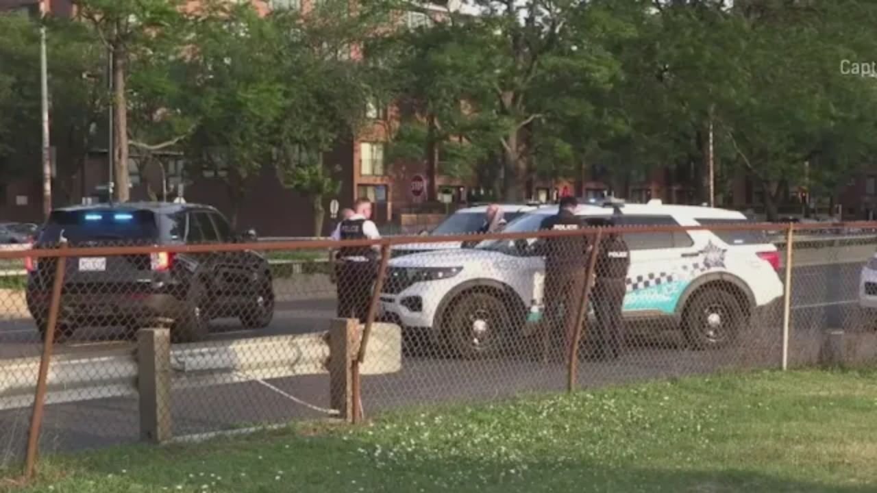 Man Struck and Killed in Lakeview Hit-And-Run; Police Seek Witnesses