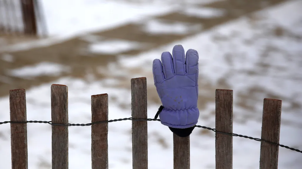 Why Is There Always a Lone Glove Hanging on Every Chicago Fence?