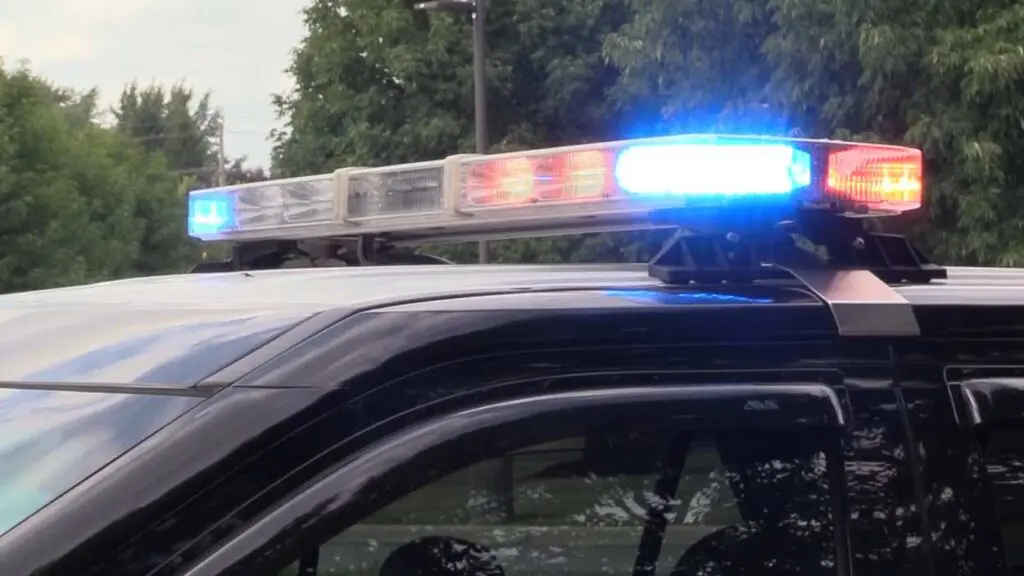 Naperville Man Faces More Sexual Abuse Charges; Fresh Changes Ahead for Last Fling, Neuqua Valley Freshmen Return