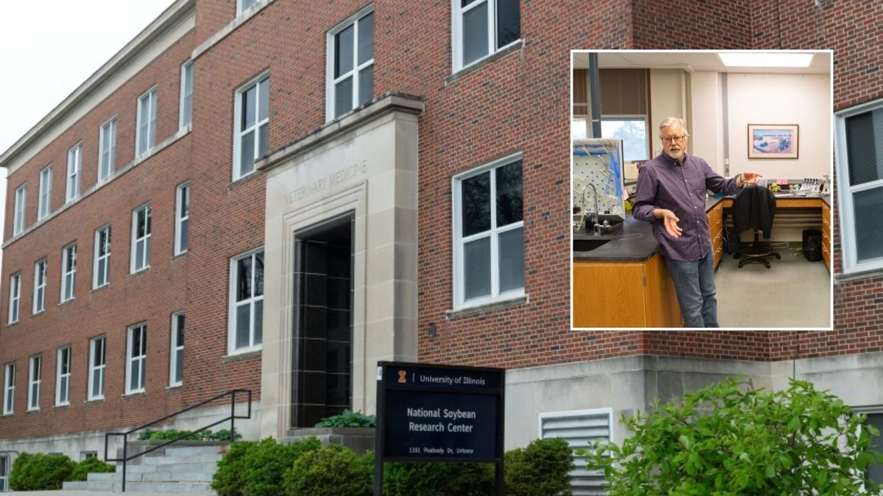 University of Illinois Soybean Lab Loses Funding After Trump Cuts, Threatens Global Food Research
