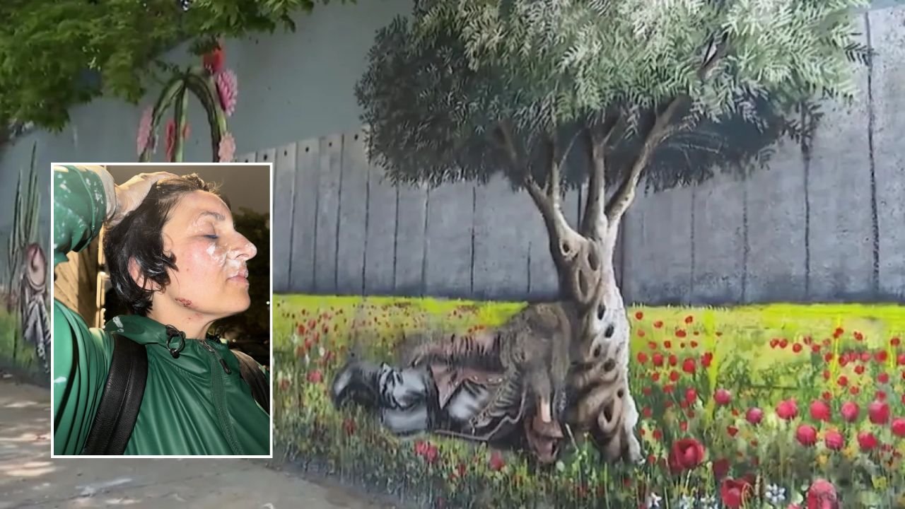 Woman Beaten While Trying To Stop Vandalism Of Palestinian Mural In Pilsen