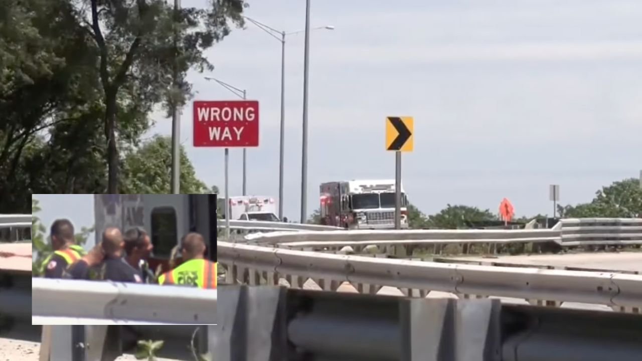 Woman Gives Birth on Route 53 Off-Ramp in Palatine During Emergency Stop