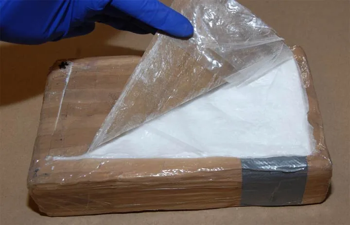 Nearly 2,000 Grams of Suspected Cocaine, Firearms, and Cash Seized in Calumet City Drug Bust