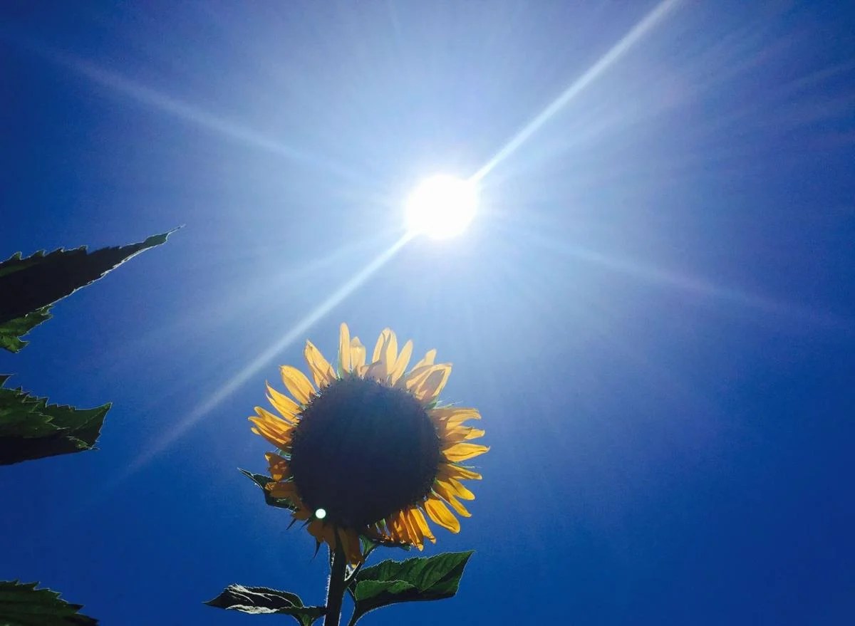 New Hampshire Forecast Clears Up With Sunny, Breezy Start to the Week After Sunday Storms