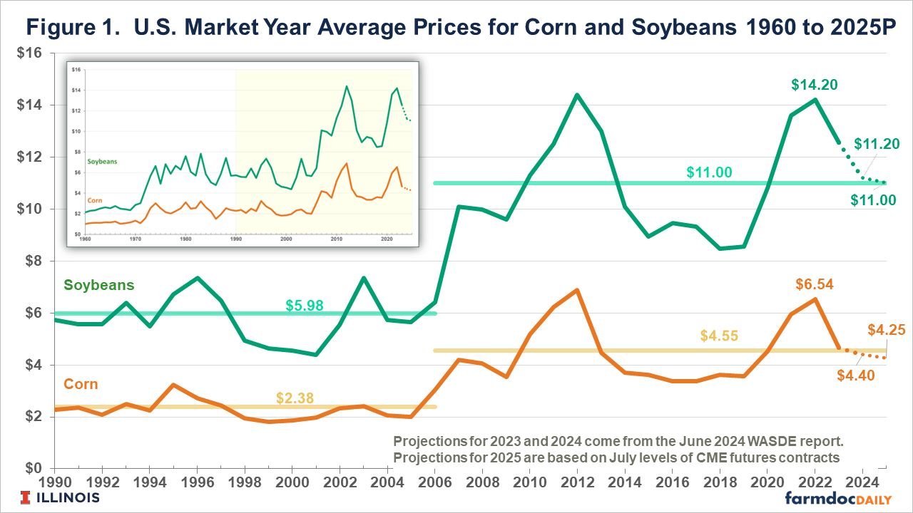 ILLINOIS GRAIN PRICES Corn and Soybeans Show Modest Gains Ahead of July Markets