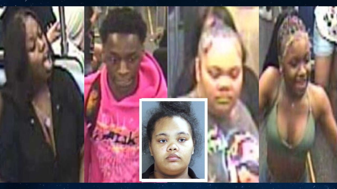 Red Line Robbery Attack Woman and 4 Juveniles Charged After CTA Surveillance Images Released