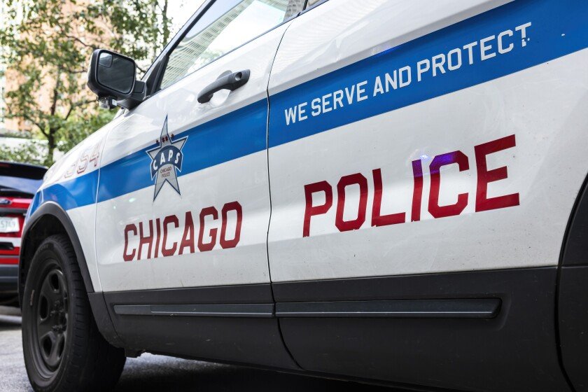 Chicago Police Searching for Hit-and-Run Driver After Woman Killed in Pilsen Crosswalk
