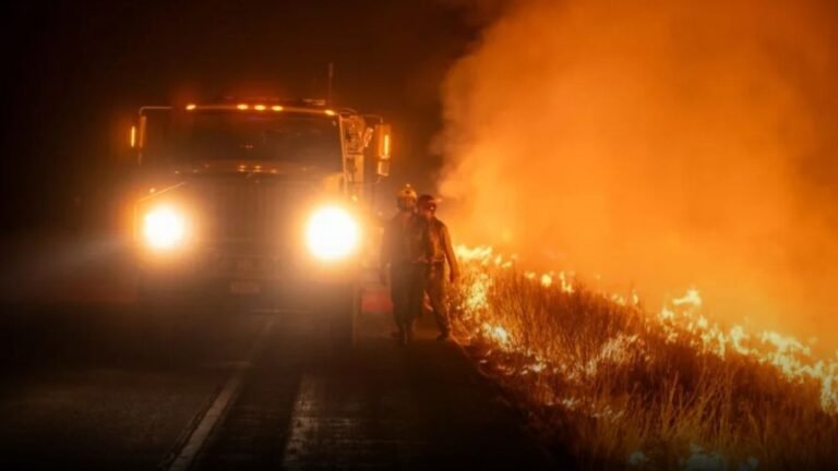 Colorado Wildlife Officials Rescue Rare Trout Species Threatened by Spreading Wildfire