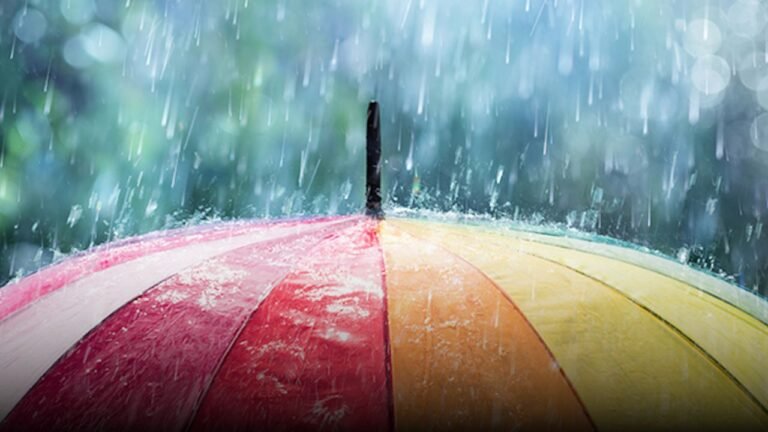 Eureka Weekend Weather Morning Showers and Fog Taper Off Before Sunshine Returns