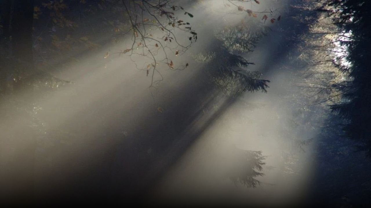 Green Bay Forecast: Patchy Fog, Light Showers Tuesday Before Sunshine Returns Midweek